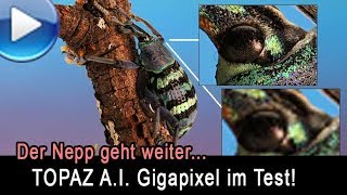 Der Nepp mit dem Größerrechnen von Bildern Topaz AI Gigapixel im Test [upl. by Miett566]