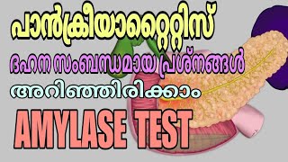 Amylase test malayalam  Pancreatic diseases  Digestive problems [upl. by Malin]