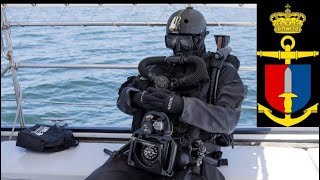 Danish Frogmen “Not SeenNot Heard” [upl. by Neimad761]