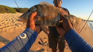 Light tackle and Shore fishing Fishing at La Cambuse Mauritius [upl. by Brynna85]