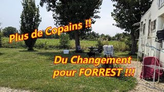 Vlog 7  Du Changement pour Forrest  Plus de copains [upl. by Eecrad]