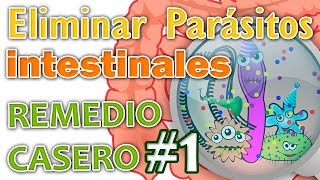 ELIMINAR PARÁSITOS INTESTINALES REMEDIO CASERO N° 1 [upl. by Salguod]