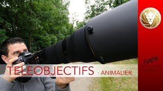 Quels téléobjectifs pour la photo animalières [upl. by Gilliam]