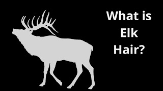 What is Elk Hair [upl. by Ariaec]