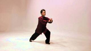 Simplified 24 Tai Chi routine [upl. by Sweet]