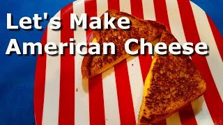 Homemade American Cheese [upl. by Till]