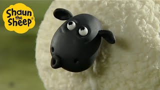 Shaun the Sheep 🐑 EPIC SHEEP  Cartoons for Kids 🐑 Full Episodes 🐑 Full Season 1 [upl. by Zinah]