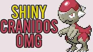 SHINY CRANIDOS REACTION  PokeMMO pokemmo [upl. by Martin]