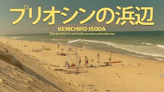 Kenichiro Isoda  プリオシンの浜辺 1990 Relaxing Beachfront Ambient Mix [upl. by Brest165]