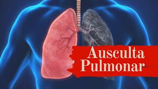 Ausculta Pulmonar  roncos sibilos estertores  ruídos adventícios [upl. by Firman269]