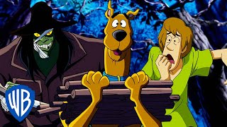 ScoobyDoo  Lost in the Woods 🏕️  WB Kids [upl. by Ateikan68]