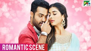 Jr NTR amp Pooja Hegde  Romantic Scene  Aravind Sametha  Hindi Dubbed Movie  Jagapathi Babu [upl. by Balcer]