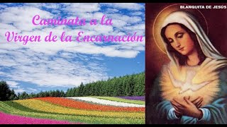 ¡Caminata a la Virgen de la Encarnación muy milagrosa [upl. by Horlacher]