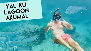 Snorkeling in Yal Ku Lagoon Akumal Quintana Roo Mexico [upl. by Ynahpets]