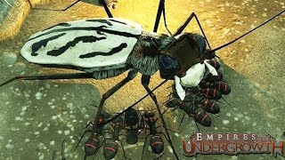 MASSIVE BUG ATTACK Sim Ant Game Empires of the Undergrowth Gameplay [upl. by Auop254]