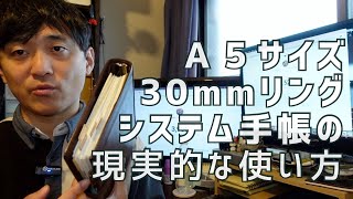 【使い方紹介】A5システム手帳30mmリングの大きいやつの現実的な使い方を話します。【ロロマクラシック】 [upl. by Ettezzil105]