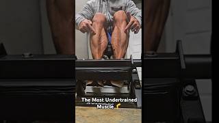 The Most Undertrained Muscle 🦵 Tibialis Anterior [upl. by Norehc]