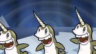 Narwhal Song [upl. by Carlos]