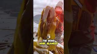 This seaweed looks very crunchy and crispy shortvideo shorts [upl. by Aisekal]