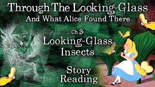 ASMR Story Reading Through the LookingGlass Chapter 3 LookingGlass Insects Alices Adventures [upl. by Onibla827]