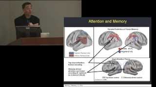 Anthony Wagner presents Intro to Science of Memory Vanderbilt Judicial Colloquium Feb 2014 [upl. by Rehoptsirhc]