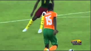 Côte dIvoire vs Cameroun 10  but Fantastic Max Alain Gradel Can 2015 [upl. by Carrnan]