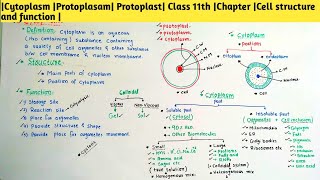 Cytoplasm Protoplasam Protoplast Class 11th Chapter Cell structure and function [upl. by Marguerita107]