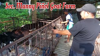 Goat Farm of Sec Manny Piñol in North Cotabato [upl. by Eicyal]