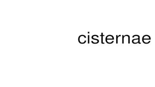 How to pronounce cisternae [upl. by Dalia]