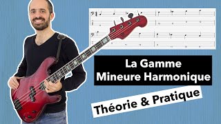 La Gamme Mineure Harmonique  Théorie amp Pratique 🎸 Cours de Basse Débutants [upl. by Hildegard]