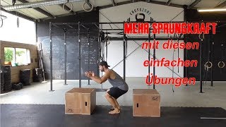 SPRUNGKRAFTTRAINING  Lerne höher zu springen  Übungsfolge [upl. by Pendergast]