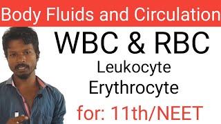 Difference between WBC and RBC I NEET BIOLOGY I Blood I Body Fluids and Circulation [upl. by Alehs]