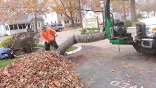 Leaf Removal Service Leaf Cleanup amp Leaf Collection [upl. by Schriever159]