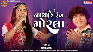 Nachi Le Rang Morla New 2023 Garaba Song Alvira mir Music  Yogesh Purbiya [upl. by Medorra]