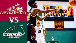 Alvernia at Stevenson University  College Basketball Full Highlights 2022 [upl. by Casi]