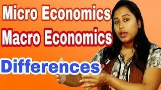 Different Between MICRO AND MACRO Economics  HINDI [upl. by Berti]