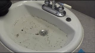 How to Unclog a Bathroom Sink [upl. by Ocsecnarf]