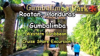 Gumbalimba Preservation Park in Roatan Honduras Cruise Shore Excursion [upl. by Margalit993]