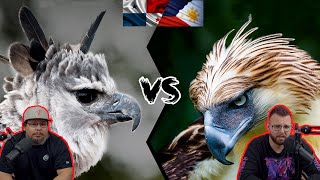 Americans React To The Philippines Eagle VS The Harpy Eagle  Who is the king of the eagles [upl. by Ydnerb]