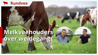 Weidegang toepassen hoe zorg je voor genoeg ruwvoer in koe [upl. by Atinehc]