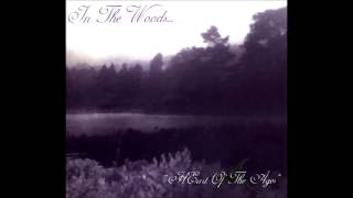 In The Woods  Heart of the Ages Full Album [upl. by Hainahpez]