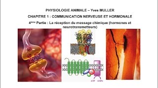 Chapitre 14 La réception du message chimique hormones et neurotransmetteurs [upl. by Ynohtn]