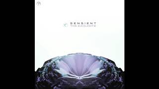 Sensient  The Exquisite [upl. by Lilla]