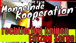 Mangelnde Kooperation mit Jugendamt ist keine Rechtfertigung für Sorgeentzug [upl. by Jones]