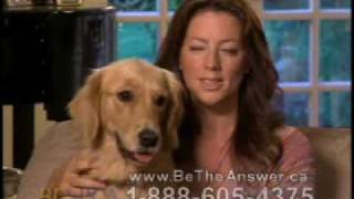 Sarah McLachlan SPCA Commercial [upl. by Akital]