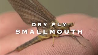 Dry Fly Smallmouth Bass  Hexagenia Mayflies [upl. by Novahc]