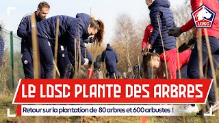 Le LOSC plante 600 arbustes et 80 arbres au Domaine de Luchin [upl. by Euqinamod]