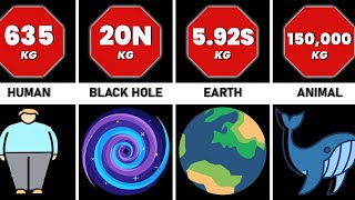 Comparison Heaviest Things [upl. by Ansaev]