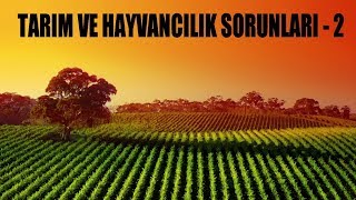 TÜRKİYEDE TARIM VE HAYVANCILIK  BÖLÜM 2 [upl. by Muller]