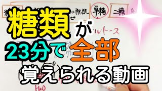 【化学】糖類の覚え方が23分でわかる動画【語呂合わせ】 [upl. by Cardon]